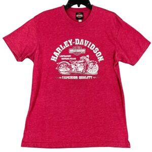 Harley Davidson Motorcycle Dealer Shirt Mens L Timms‎ Anderson SC Grunge Biker